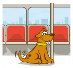 Neue Termine: Alltagstrainings