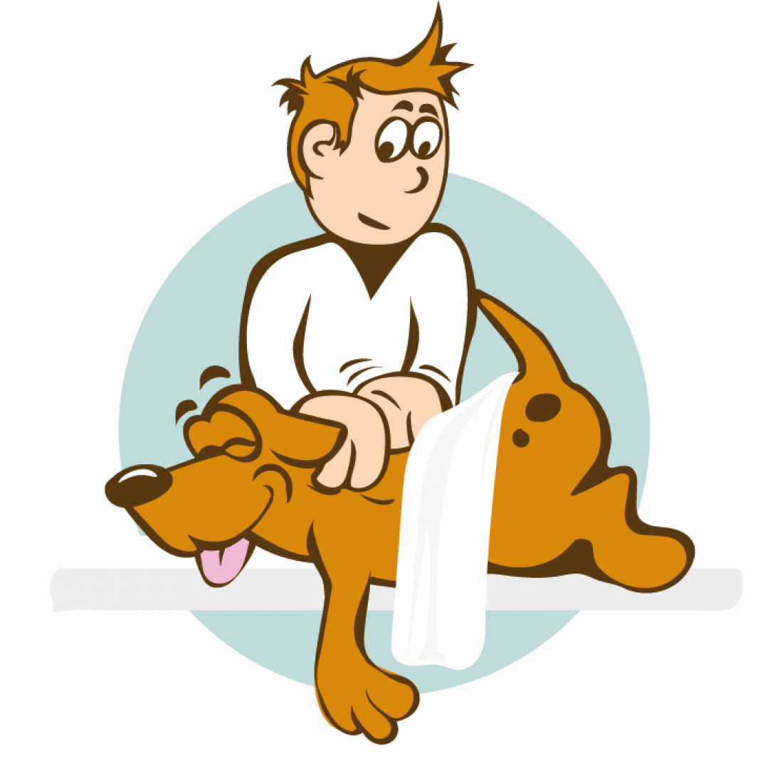 Massage-Kurs am Hund