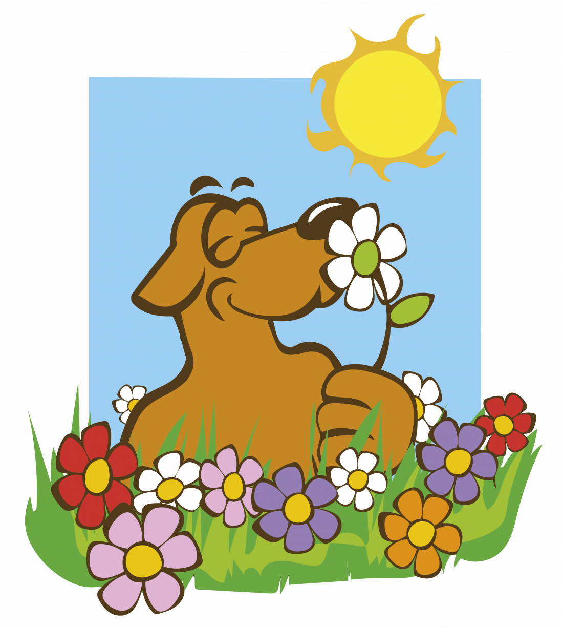 Frühlingserwachen - Saisonstart