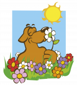 Frühlingserwachen - Einladung zum Saisonstart 2026