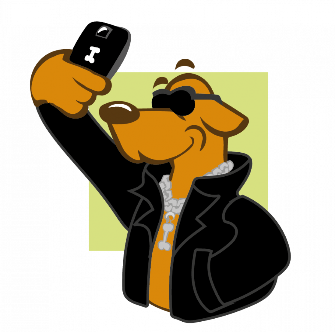 Erziehungskurs / ab ca. 4-5 Monate und erwachsene Hunde